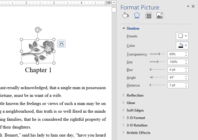 Screenshot of the format picture options in Word
